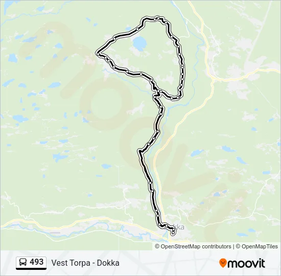 493 Bus Line Map