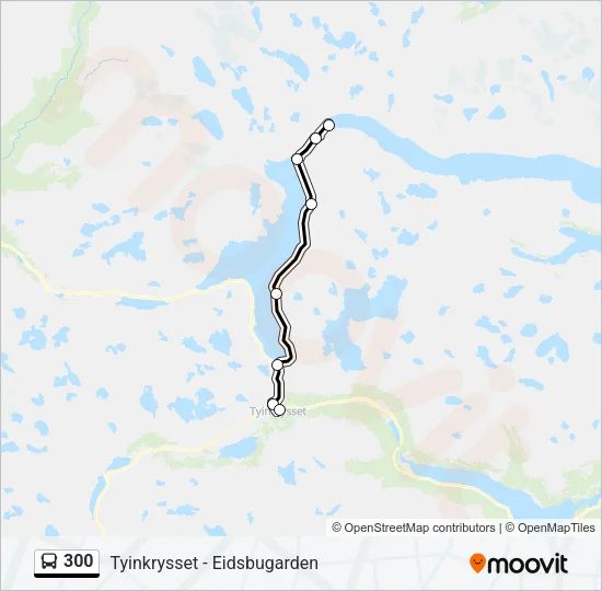 300 Bus Line Map