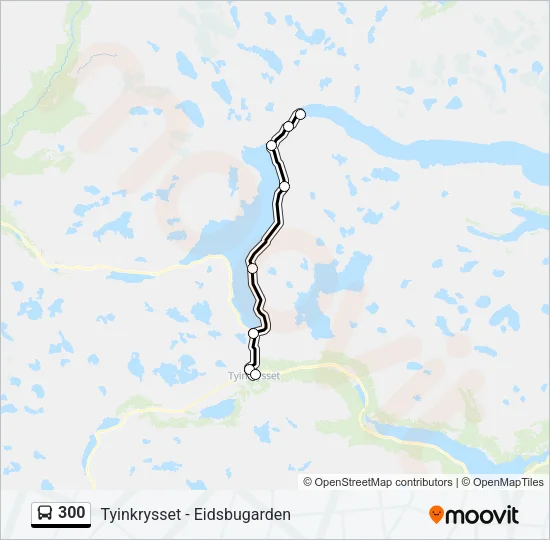300 Bus Line Map