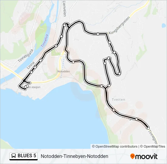 BLUES 5 Bus Line Map