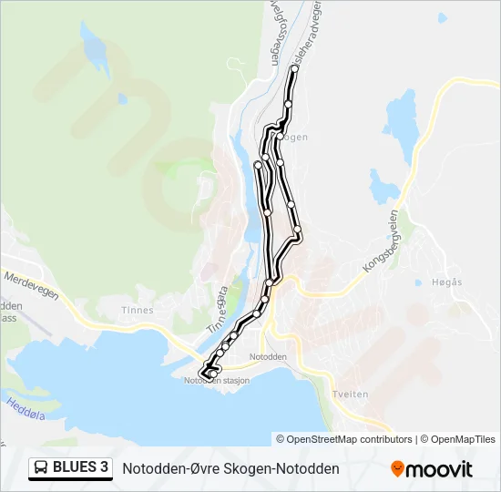 BLUES 3 Bus Line Map