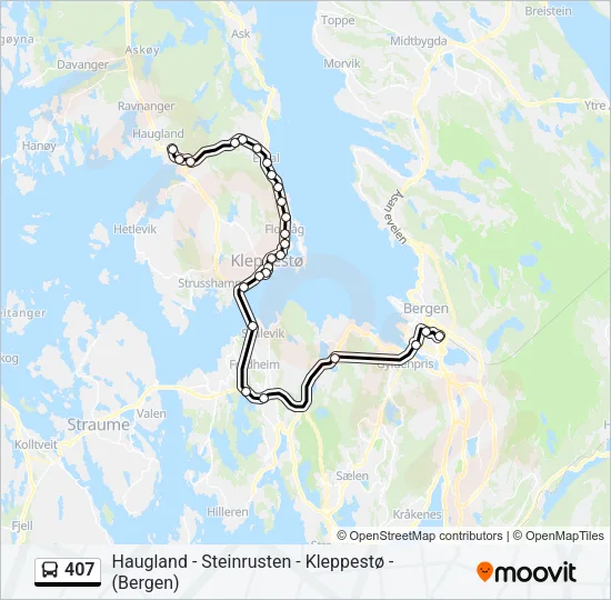 407 Bus Line Map