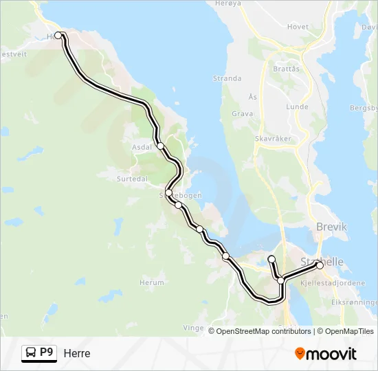 P9 Bus Line Map