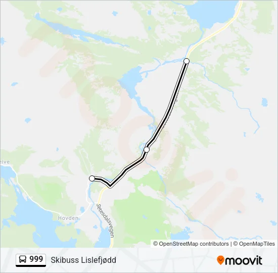 999 Bus Line Map
