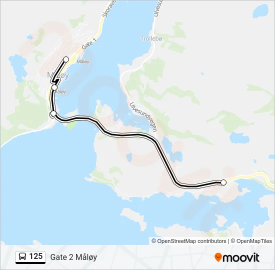 125 Bus Line Map