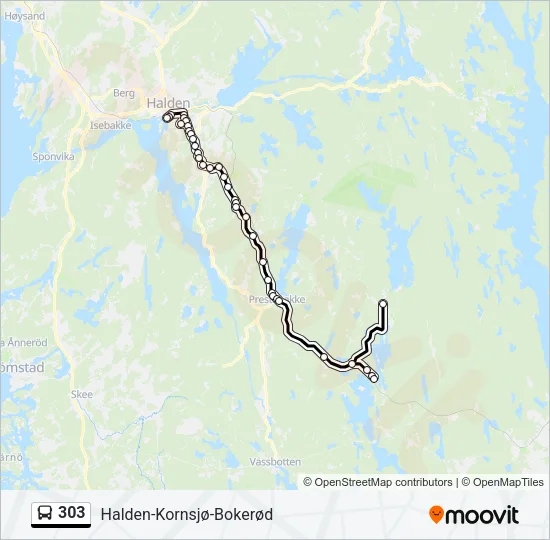 303 Bus Line Map
