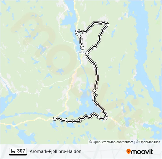 307 Bus Line Map