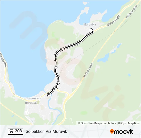 203 Bus Line Map