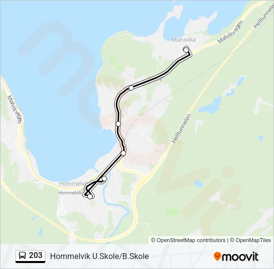203 Bus Line Map