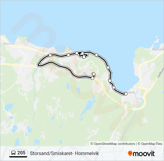 205 Bus Line Map
