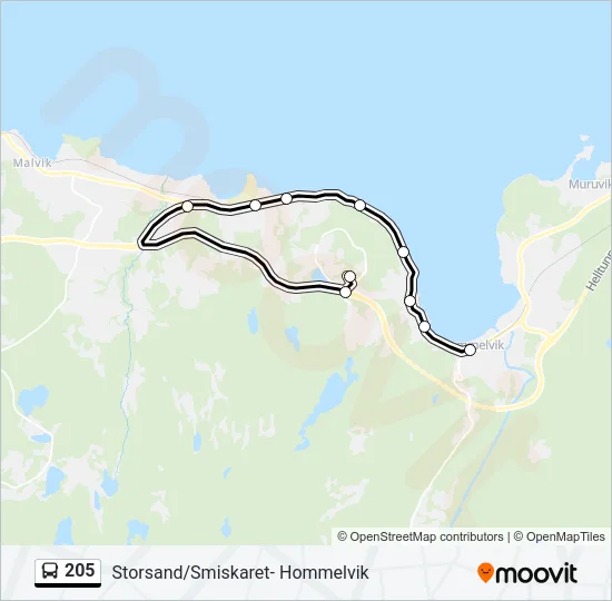 205 Bus Line Map