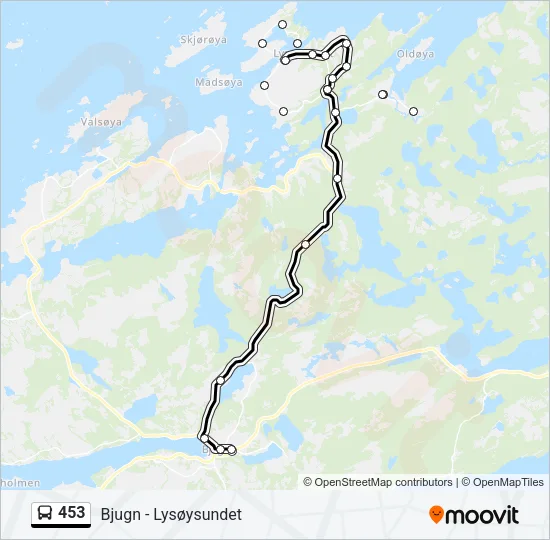 453 buss Linjekart