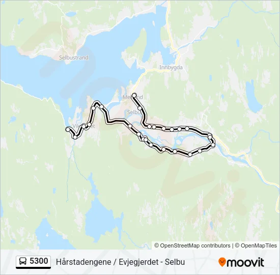 5300 Bus Line Map