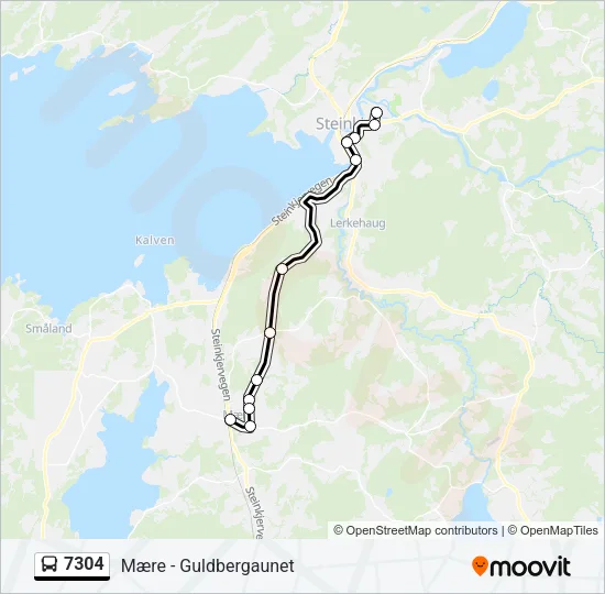 7304 Bus Line Map