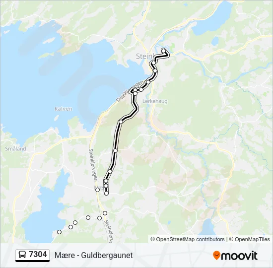 7304 Bus Line Map