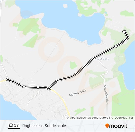 37 bus Line Map