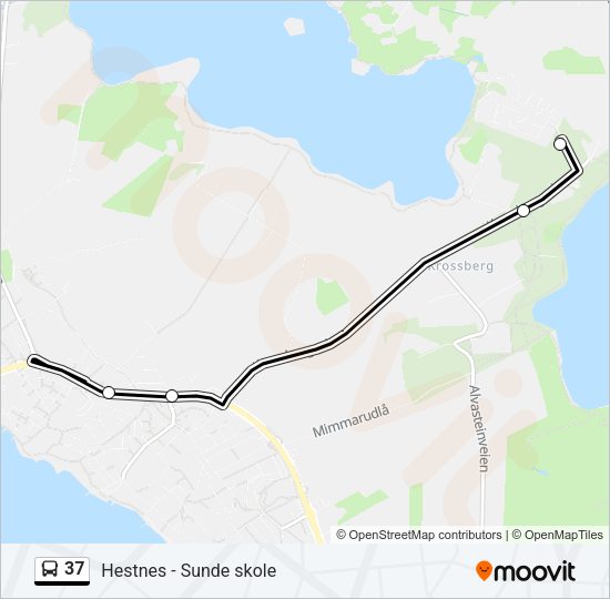 37 Bus Line Map