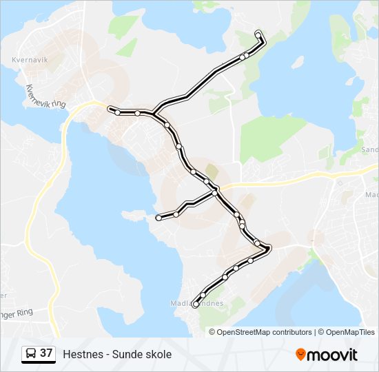 37 Bus Line Map