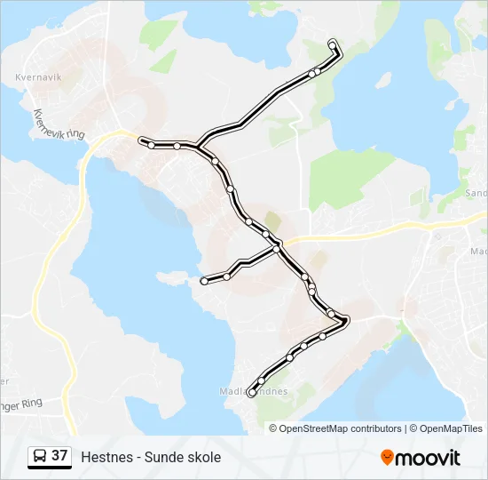 37 Bus Line Map