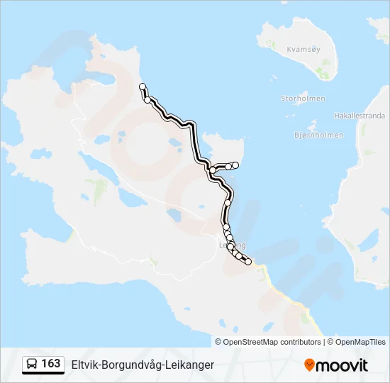 163 Bus Line Map