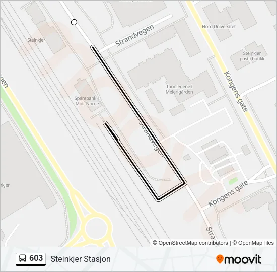 603 Bus Line Map