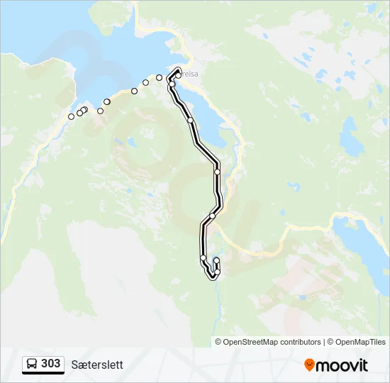 303 Bus Line Map
