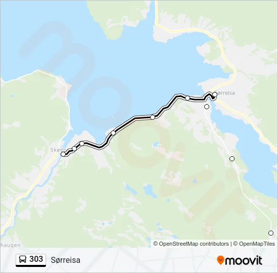 303 Bus Line Map