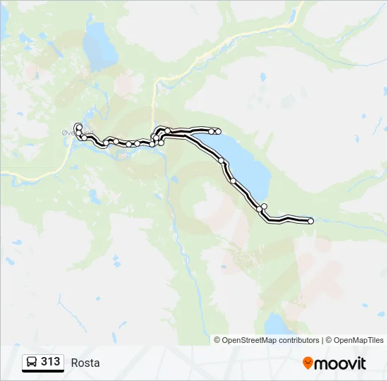 313 Bus Line Map