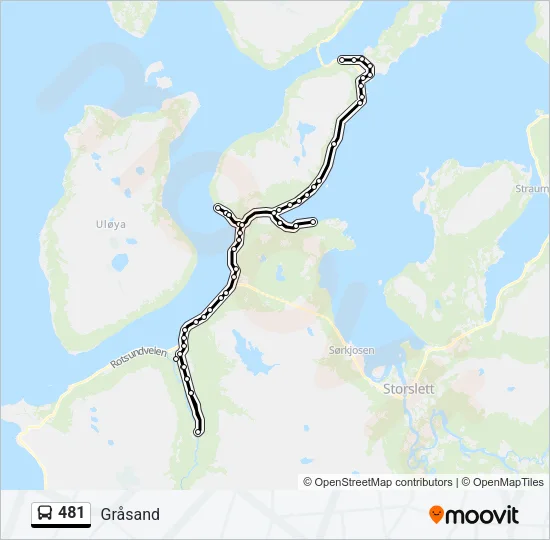 481 Bus Line Map