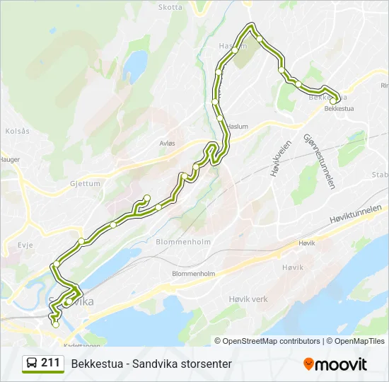 211 Bus Line Map