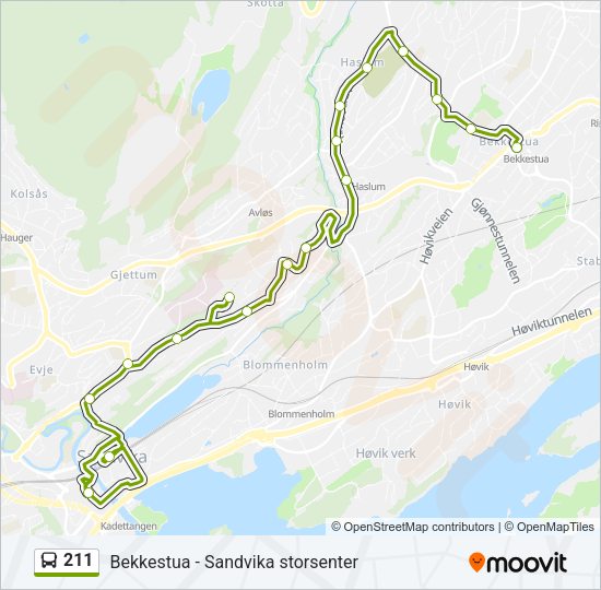 211 Bus Line Map