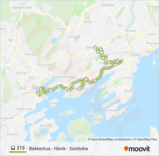 213 Bus Line Map