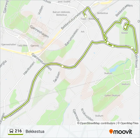 216 Bus Line Map
