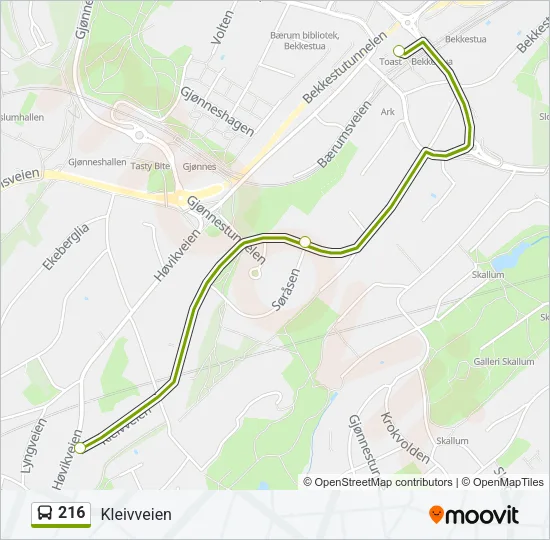 216 Bus Line Map