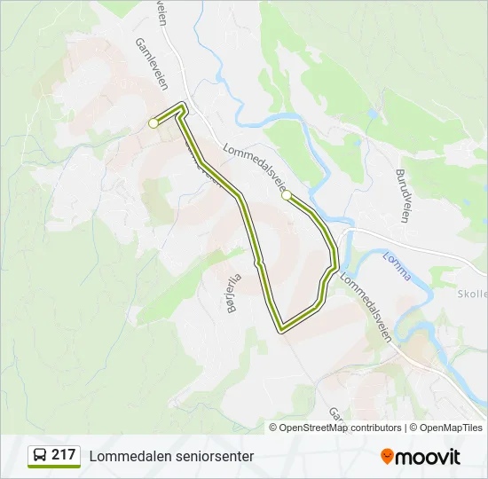 217 Bus Line Map