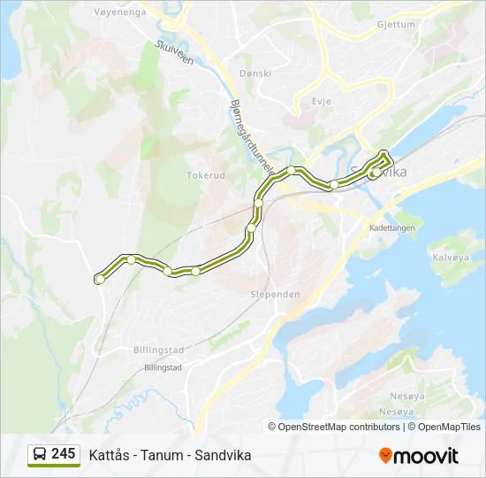 245 Bus Line Map