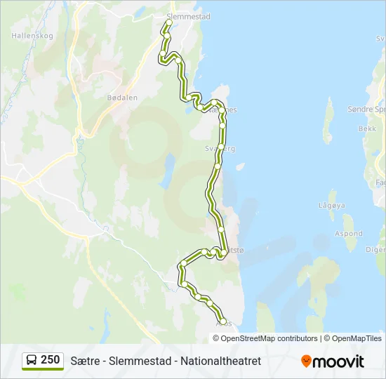 250 Bus Line Map