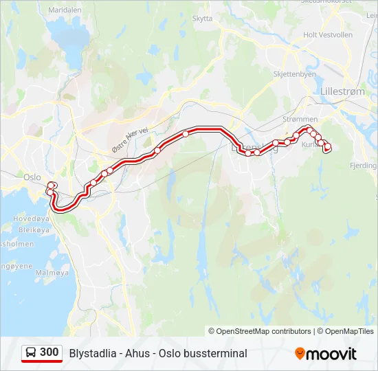 300 Bus Line Map