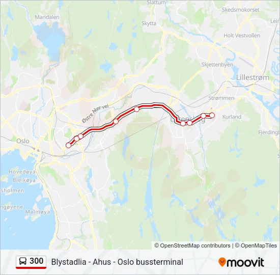 300 Bus Line Map