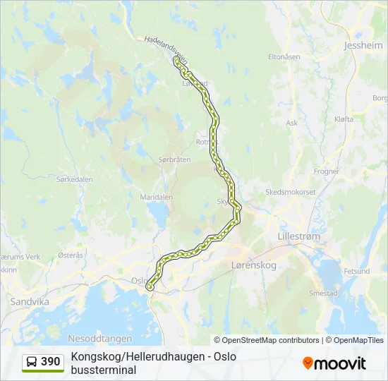 390 buss Linjekart