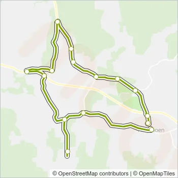 2133 Bus Line Map