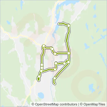 2142 Bus Line Map
