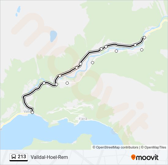 213 Bus Line Map