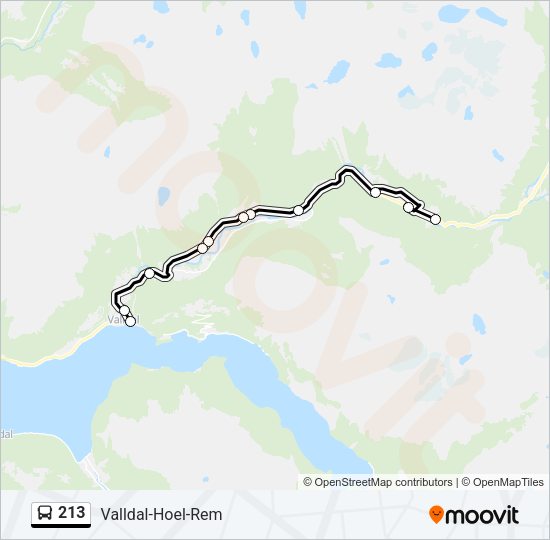213 Bus Line Map