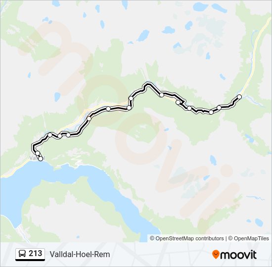 213 Bus Line Map