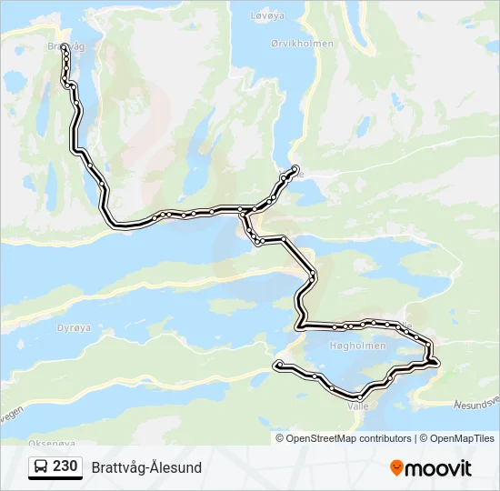230 Bus Line Map