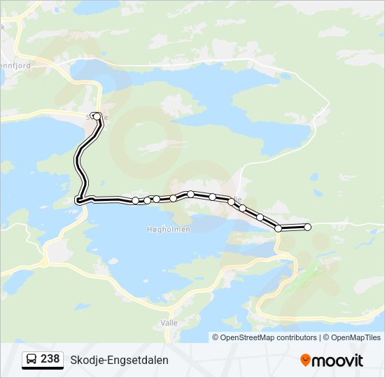 238 Bus Line Map