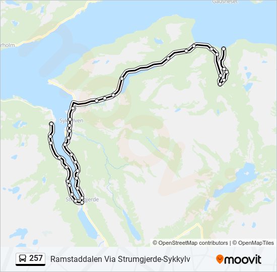 257 buss Linjekart