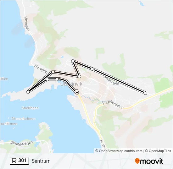 301 Bus Line Map
