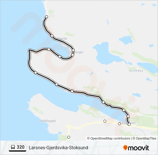 320 Bus Line Map